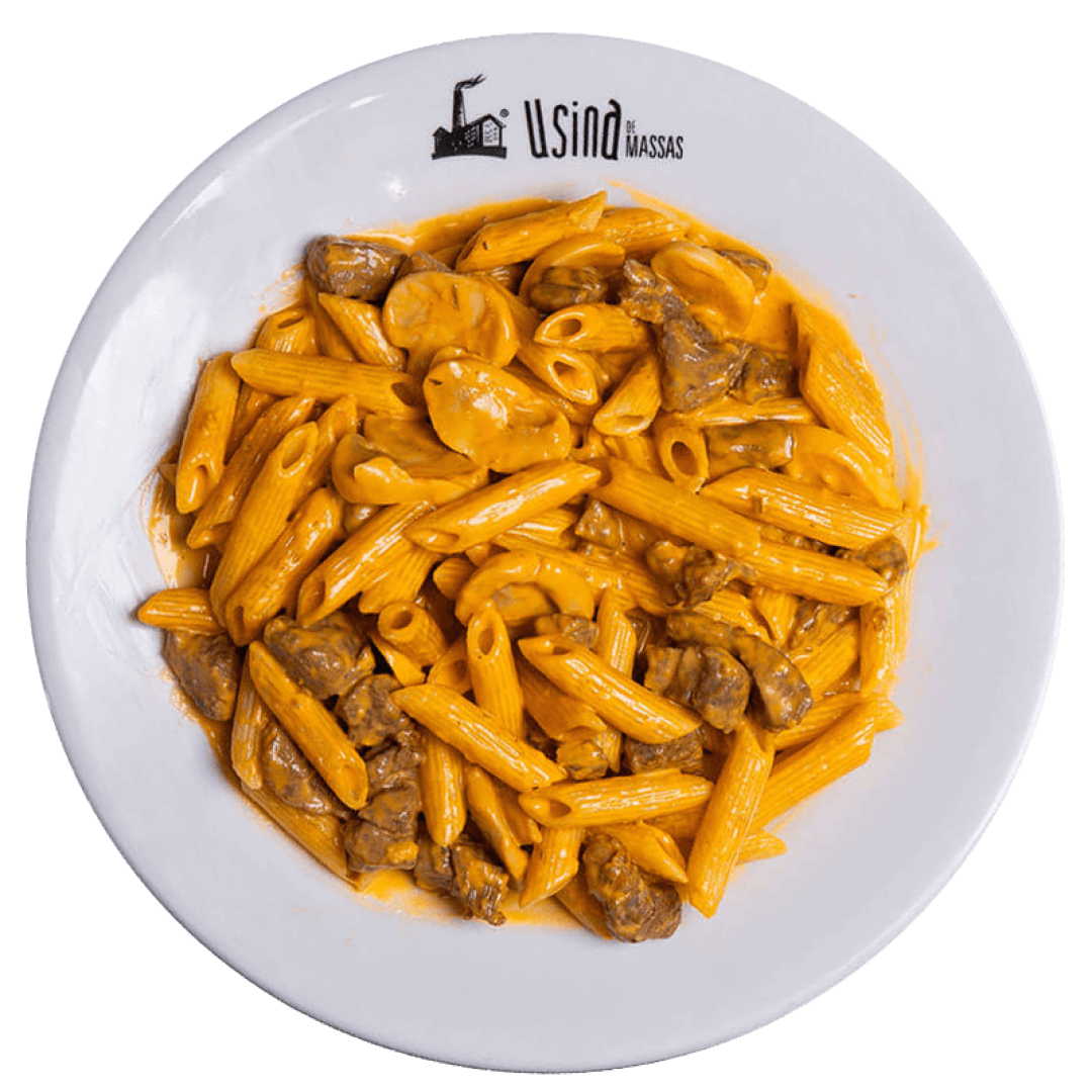 Strogonoff-com-filé